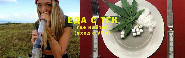 индика Абаза