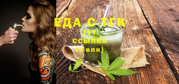индика Абаза