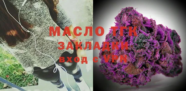 индика Абаза