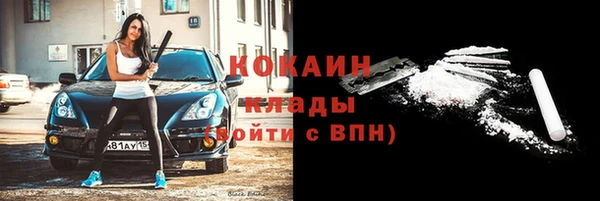 индика Абаза