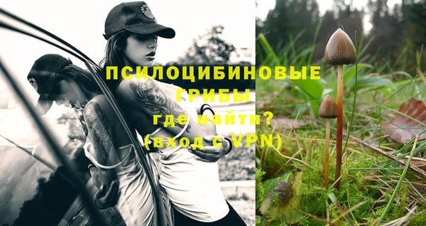 гидра Абинск