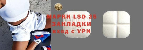 индика Абаза
