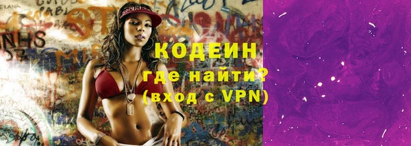 индика Абаза