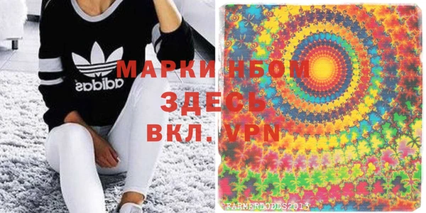 индика Абаза