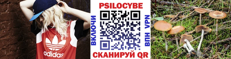 Галлюциногенные грибы Magic Shrooms  где можно купить   omg   Ишимбай 